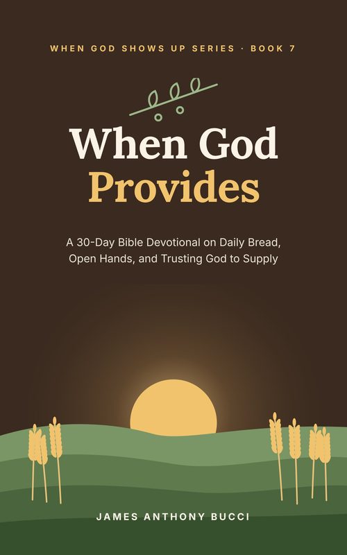 When God Provides cover